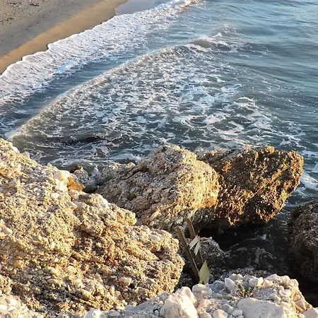 招待所 索利马尔旅舍 3*